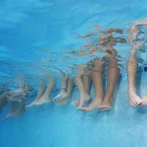 Little by Little, Piece by Piece