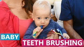 When to start brushing your baby’s teeth | Dentist Tips